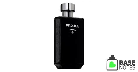 prada intense basenotes|Prada intense fragrance.